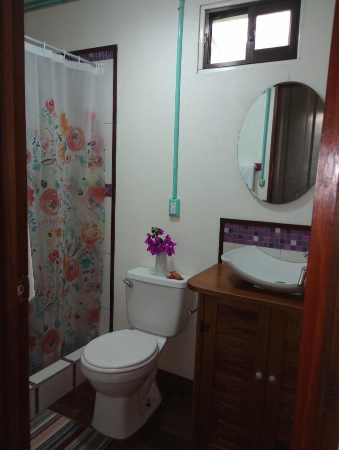 Container House Cahuita 호텔 외부 사진