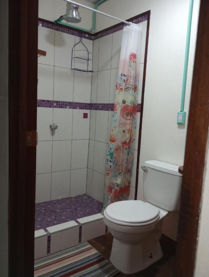 Container House Cahuita 호텔 외부 사진