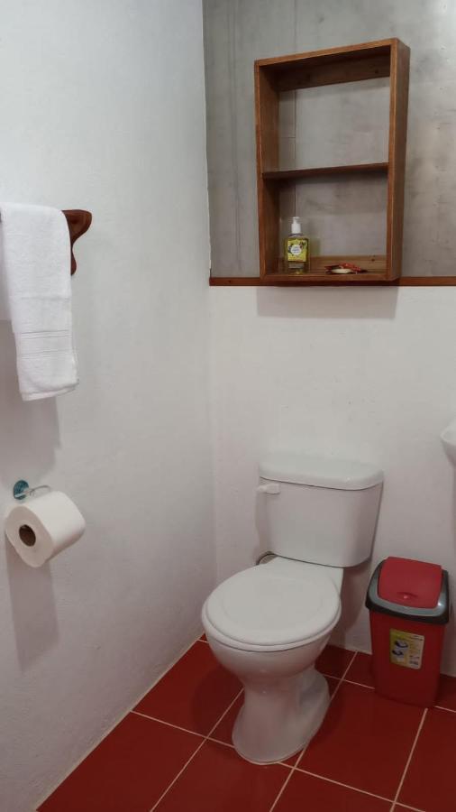 Container House Cahuita 호텔 외부 사진
