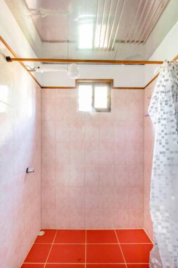 Container House Cahuita 호텔 외부 사진